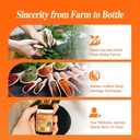 eyebright-herb-drops-for-eye-health-with-71ti+GxtRfL.jpg