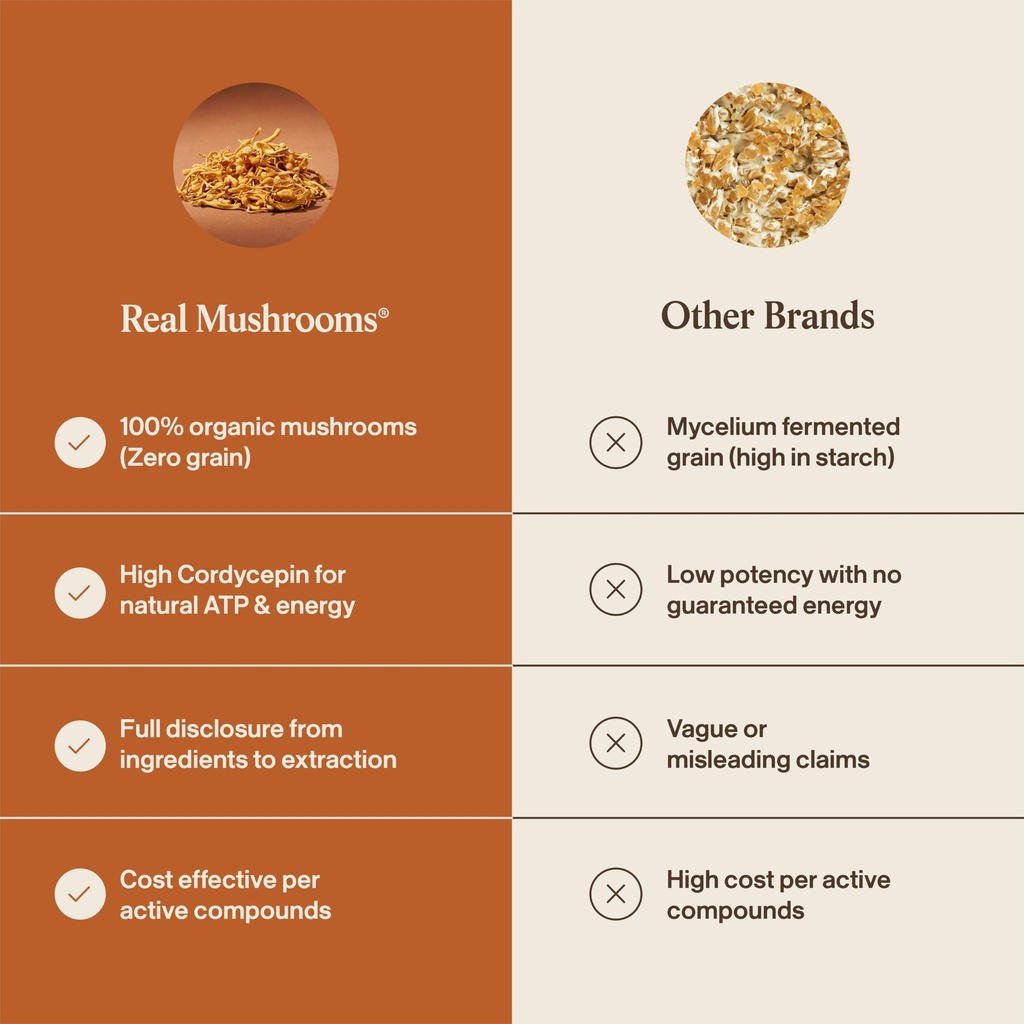 real-mushrooms-cordyceps-mushroom-extrac-71sfZ9obycL.jpg