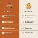 real-mushrooms-cordyceps-mushroom-extrac-71sfZ9obycL.jpg