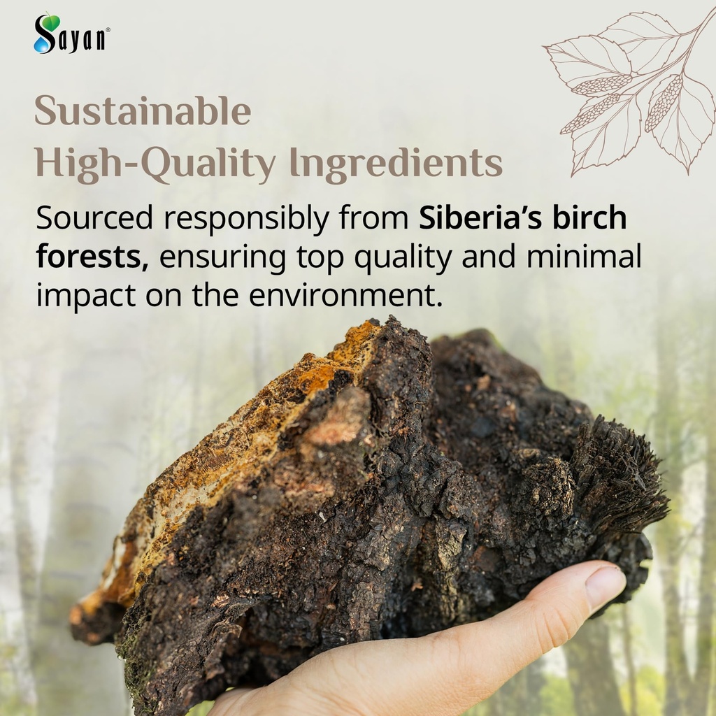 sayan-coarse-chaga-powder-1-lb-454g-sibe-81haMuS2G0L.jpg