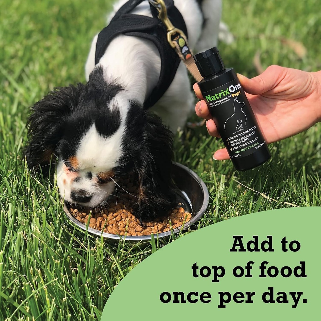 100-pure-camelina-oil-for-puppies-8-oz---5.jpg