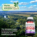 fito-medics-lab-resveratrol-resveratrol--6.jpg