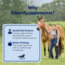 uckele-by-smartequine-gutTM-paste-horse--3.jpg