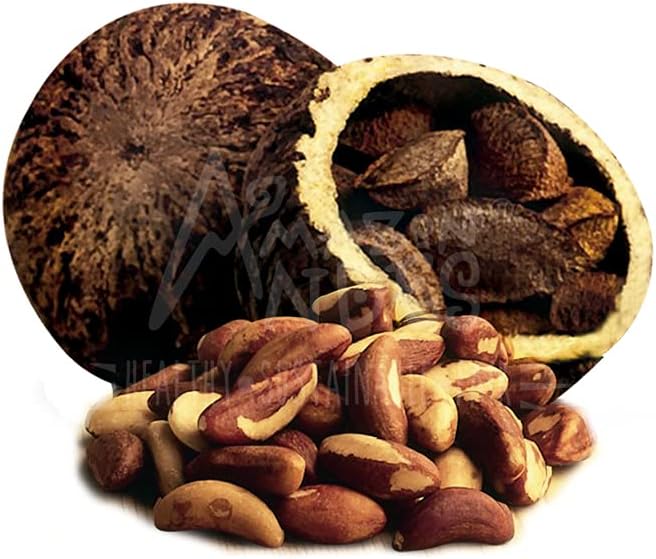 amazon-andes-brazil-nuts-oil-capsules----2.jpg