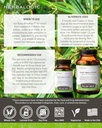 herbalogic---easy-breather-herb-capsules-4.jpg