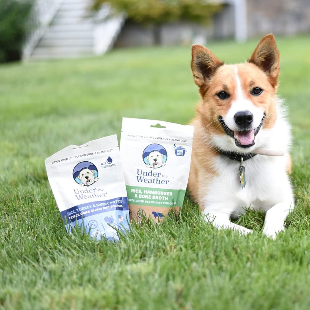 under-the-weather-bland-diet-for-dogs-ea-4.jpg