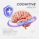 neurogan-nadh-tablets---20mg-per-serving-6.jpg