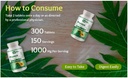 papaya-leaf-extract-capsules-tablets---3-6.jpg