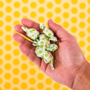 usda-organic-sweet-ginger-pear-tummydrop-3.jpg