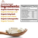 infinity-memory-and-focus-supplement-sup-6.jpg