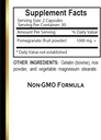 pomegranate-extract-antioxidant-suppleme-5.jpg