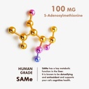 pure-same-liver-support-for-cats---chick-3.jpg