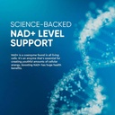 nad-resveratrol-supplement-240-softgels--4.jpg
