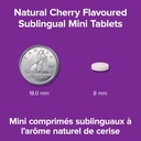 webber-naturals-vitamin-b12-250-mcg-meth-5.jpg