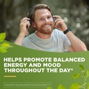 stress-relief-ashwagandha-ksm-66-support-6.jpg