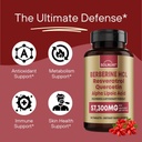 all-in-one-vitality-bundle---shilajit-pu-4.jpg