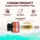 organic-cadane-quercetin-extract-capsule-5.jpg