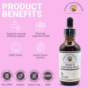 creators-touch-botanicals-super-5-mushro-2.jpg