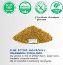 goldenseal-root-powder---105-oz300gram-p-2.jpg