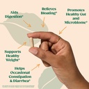 bellway-super-fiber-powder-greens-super--3.jpg