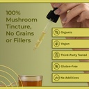 naturealm-lions-mane-mushroom-liquid-tin-5.jpg