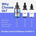 urolithin-a-urolithin-a-supplement-3000m-5.jpg