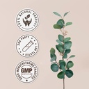 bugleweed-usda-organic-alcohol-free-extr-4.jpg