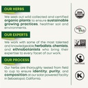 traditional-medicinals-smooth-move-senna-3.jpg