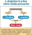 fitness-labs-creatine-pump-with-l-citrul-6.jpg
