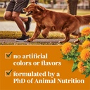 everroot-by-purina-skin-and-coat-dog-sup-4.jpg