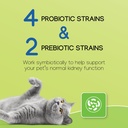 nephrodyl-synbiotic-capsules---kidney-su-4.jpg