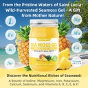 softbear-sea-moss-gel-pineapple-flavored-5.jpg