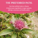 prebiotics-and-probiotics-for-women-vagi-3.jpg