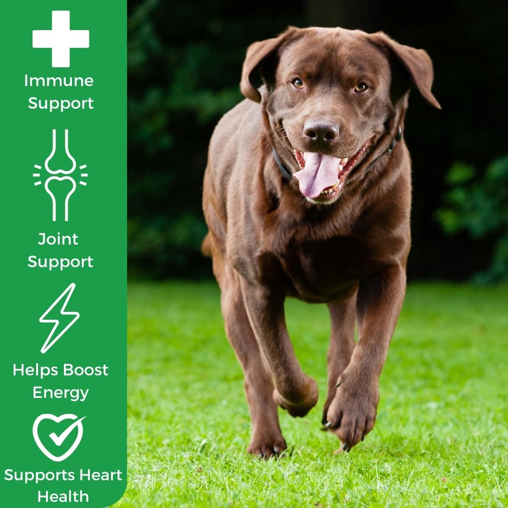 myos-immunity-chew-for-dogs---immune-sys-6.jpg