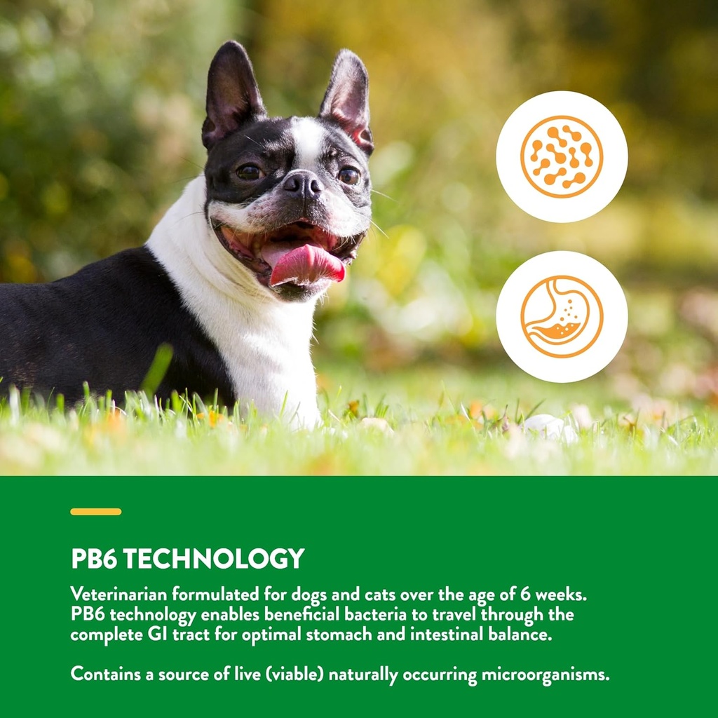 naturvet-advanced-probiotics-enzymes---p-4.jpg