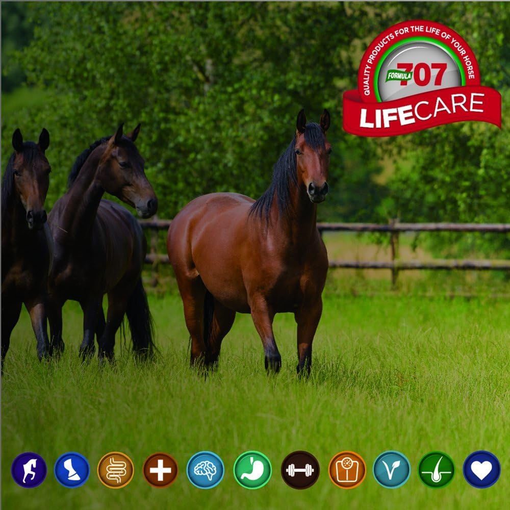 formula-707-daily-essentials-equine-supp-3.jpg