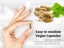 dr-wakdes-trikatu-capsules-60-veg-caps-p-6.jpg