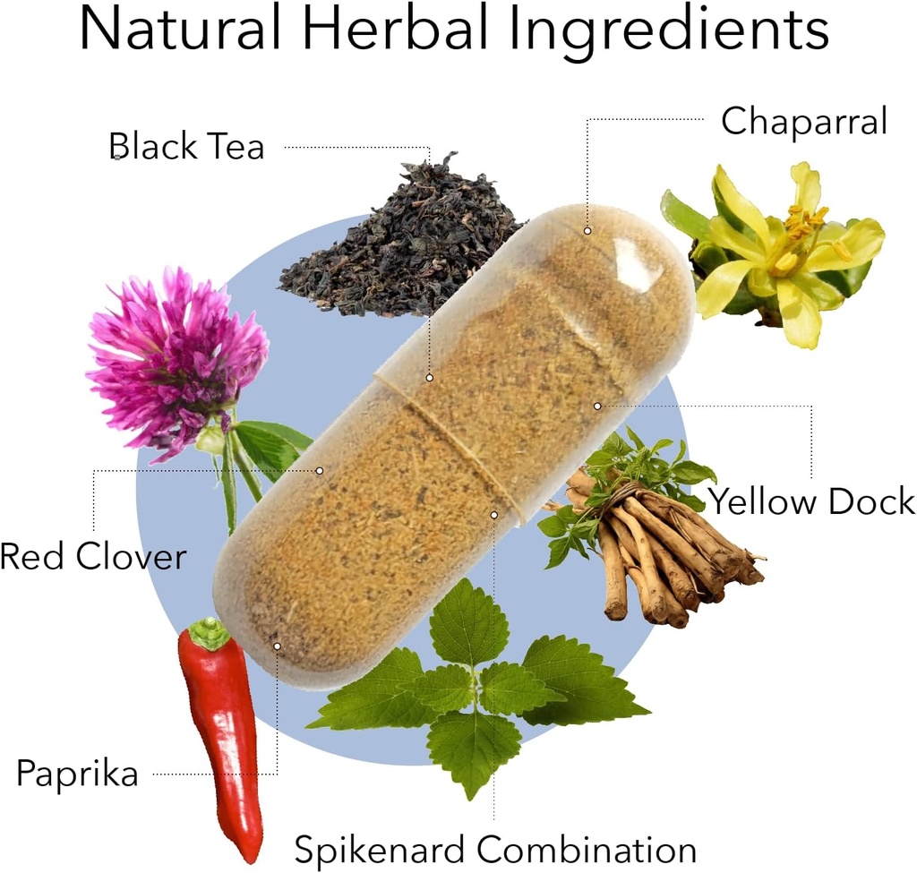 kroeger-herb-products-wormwood-and-chem--3.jpg