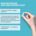 natures-base-turmeric-ginger-240-ct-prob-5.jpg