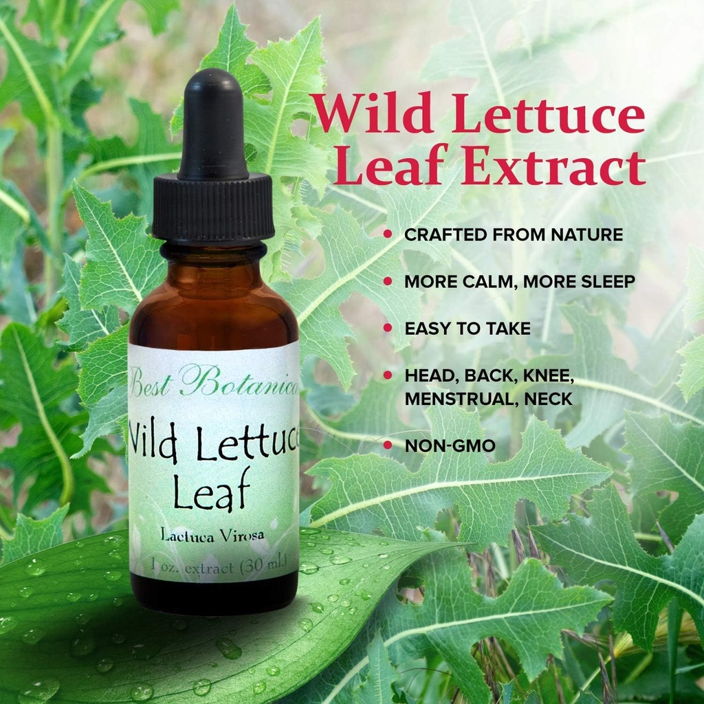 best-botanicals-wild-lettuce-leaf-extrac-3.jpg