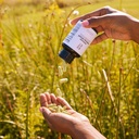 root-wellness-immune-support-supplement--5.jpg