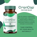 cranberry-pills---urinary-tract-health-c-4.jpg