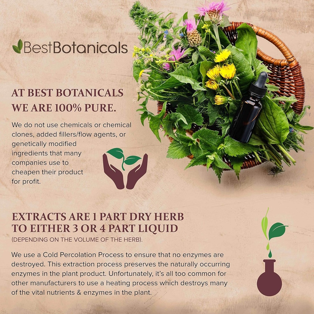 best-botanicals-black-walnut-hull-powder-5.jpg