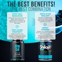 premium-stem-cell-1000mg120ct-shilajit-s-5.jpg