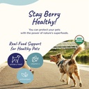 kinkind-dog-supplement-powder---suppleme-4.jpg