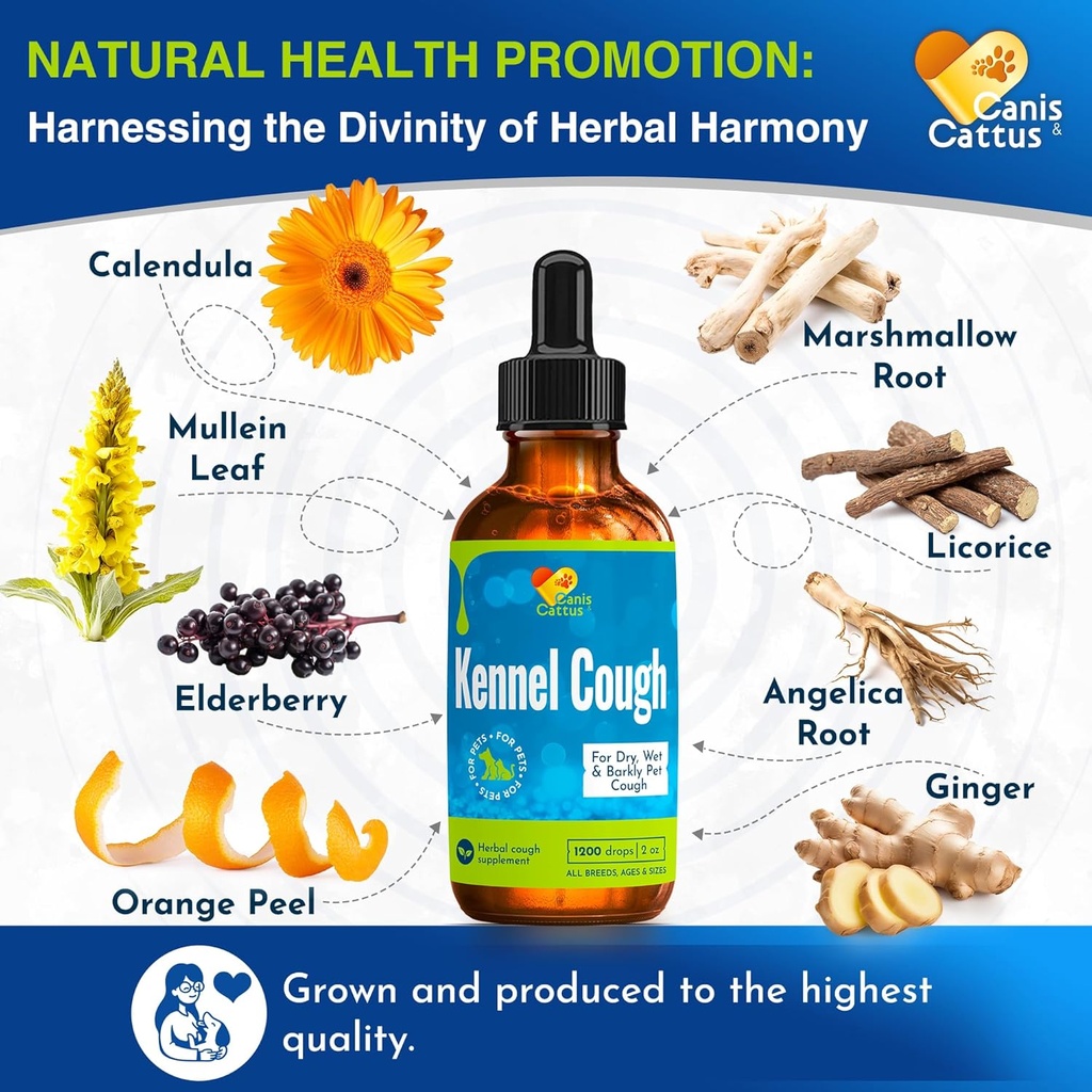 kennel-cough-treatment-for-dogs-cats-hel-3.jpg