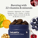 petlab-co-22-in-1-dog-multivitamin---sup-4.jpg