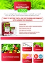 glutamaxwhitening-from-withinglutathione-4.jpg