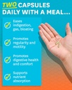zenwise-no-indigestion---indigestion-rel-3.jpg