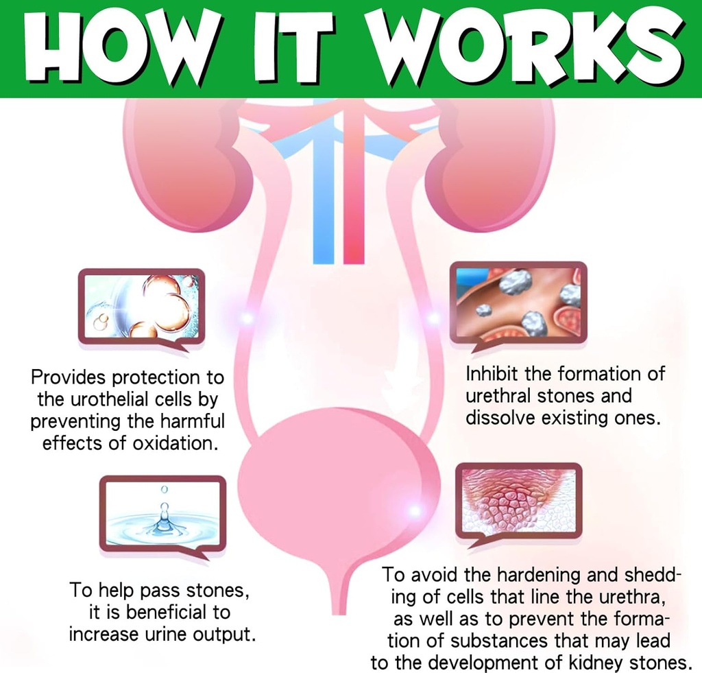 dog-uti-treatment---urinary-tract-infect-4.jpg